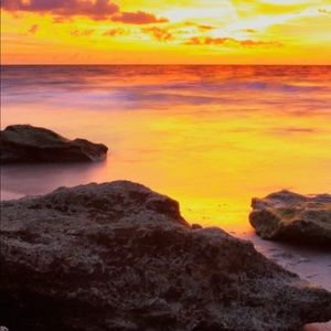 Meet your Posher, Nunu